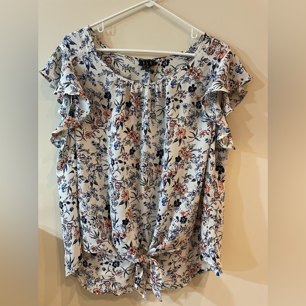 Olm blouse size 2X